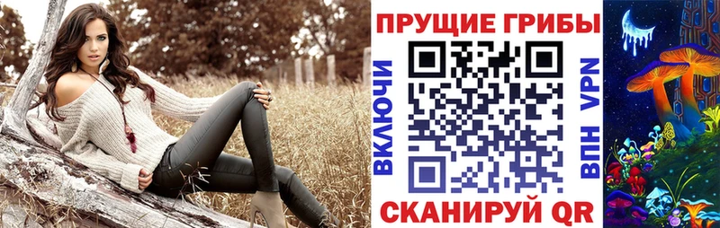 Купить где  Ивангород  Галлюциногенные грибы MAGIC MUSHROOMS 