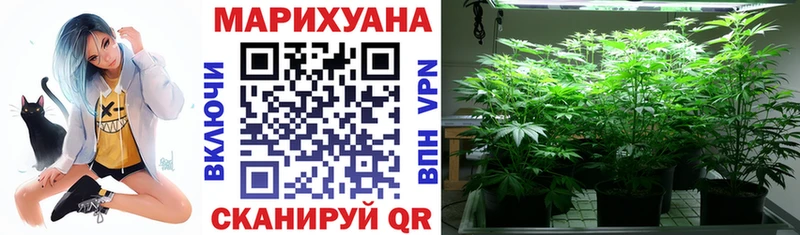 Купить закладки  Ивангород  Конопля THC 21% 